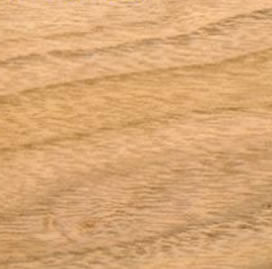butternut500.jpg
