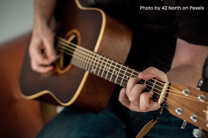 Exotic wood, guitar craftsmanship